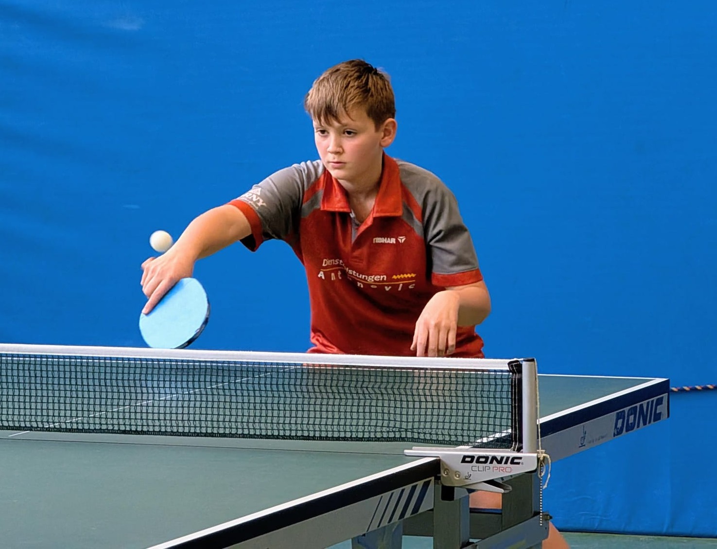 Robin Rothenhaeusler